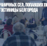 Жителей приграничных сел, попавших под обстрелы, переселили в гостиницы Белгорода - Газета Новые Известия