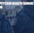 Жительница Иркутской области обвиняется в пытке ребенка утюгом - Газета Новые Известия