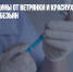 "Вектор": вакцины от ветрянки и краснухи бесполезны против оспы обезьян - Газета Новые Известия