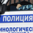 В Петропавловске-Камчатском эвакуировали все школы - Вести-Москва