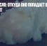 Пальмовое масло: откуда оно попадает в Россию и как это происходит - Газета Новые Известия