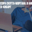 Голова профессора Скотта-Моргана: в Англии умер первый человек-киборг - Газета Новые Известия
