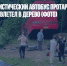 На Кубани туристический автобус протаранил автомобили и влетел в дерево (ФОТО) - Газета Новые Известия