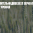 В России стремительно дешевеет зерно из-за начала уборки нового урожая - Газета Новые Известия