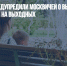 Синоптики предупредили москвичей о высоком уровне УФ-излучения на выходных - Газета Новые Известия