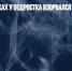 В Химках в руках у подростка взорвался вейп - Газета Новые Известия