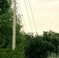 Img - РТВ-Подмосковье