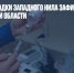 Случай лихорадки Западного Нила зафиксирован в Волгоградской области - Газета Новые Известия