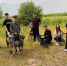 К братьям нашим меньшим! - КПРФ