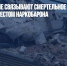 ВМС Мексики не связывают смертельное крушение вертолета с арестом наркобарона - Газета Новые Известия
