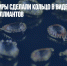 В Индии ювелиры сделали кольцо в виде гриба с 25 тысячами бриллиантов - Газета Новые Известия