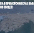 На берег поселка в Приморском крае выбросило тонны пиломатериалов (ВИДЕО) - Газета Новые Известия