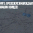 Жара в Петербурге: прохожих охлаждают с помощью поливальных машин (видео) - Газета Новые Известия