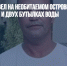 Бразилец провел на необитаемом острове пять дней на двух лимонах и двух бутылках воды - Газета Новые Известия