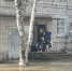 Хабаровский край приходит в себя после мощных циклонов - Вести-Москва