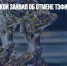 Михаил Швыдкой заявил об отмене ТЭФИ в 2022 году - Газета Новые Известия