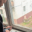 Img - РТВ-Подмосковье