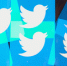 Twitter признался в пометках достоверной информации как ложной - Вести-Москва