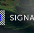 Фестиваль Signal - Вести-Москва