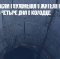 Волонтеры спасли глухонемого жителя Приморья, просидевшего четыре дня в колодце - Газета Новые Известия
