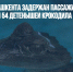 В аэропорту Ташкента задержан пассажир, перевозивший 54 детенышей крокодила - Газета Новые Известия