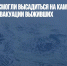 Спасатели не смогли высадиться на камчатском вулкане для эвакуации выживших - Газета Новые Известия