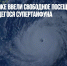 Во Владивостоке ввели свободное посещение школ из-за надвигающегося супертайфуна - Газета Новые Известия