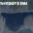 Собак Елизаветы II отдадут ее семье - Газета Новые Известия