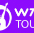 Женский теннис под эгидой WTA погряз в долгах - Вести-Москва