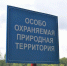 Минэкологии: в клинском заказнике возможно обитает бурый медведь - MosRegToday.Ru