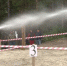 Армизонское лесничество признано лучшим в Тюменской области - Вести-Москва