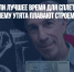 Ученые назвали лучшее время для сплетен и выяснили, почему утята плавают строем - Газета Новые Известия