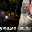Подросток в женском нижнем белье издевался над котами ради лайков - Вести-Москва