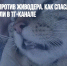 Всем миром - против живодера. Как спасли котов, которых мучали в ТГ-канале - Газета Новые Известия