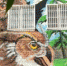 Наш Mural - Вести-Москва