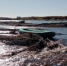 mpsc.ru - Вести-Москва