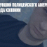 В Воронеже пнувший полицейского американец получил 4,5 года колонии - Газета Новые Известия