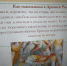 Фотогалерея - Библиотеки Подмосковья
