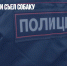 Самарец убил и съел собаку - Газета Новые Известия