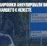 Финские пограничники аннулировали визу россиянина, ехавшего к невесте - Газета Новые Известия