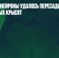 Человеческие нейроны удалось пересадить в мозг новорожденных крысят - Газета Новые Известия