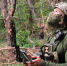 Военный эксперт рассказал об особенностях дронов-камикадзе - MosRegToday.Ru