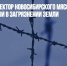 Задержан директор новосибирского мясокомбината, подозреваемый в загрязнении земли - Газета Новые Известия