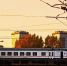 Img - РТВ-Подмосковье