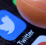 СМИ: Маск урежет штат Twitter на 75% - Вести-Москва