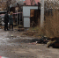 Img - РТВ-Подмосковье