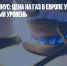 Временный минус: цена на газ в Европе упала на докризисный уровень - Газета Новые Известия