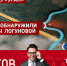 Кто убийца? Под Рязанью нашли останки пропавшей Елены Логуновой - Вести-Москва