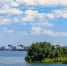 Img - РТВ-Подмосковье
