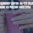 Тоска по лавандовому смузи: на что жалуются в Европе сбежавшие из России хипстеры - Газета Новые Известия